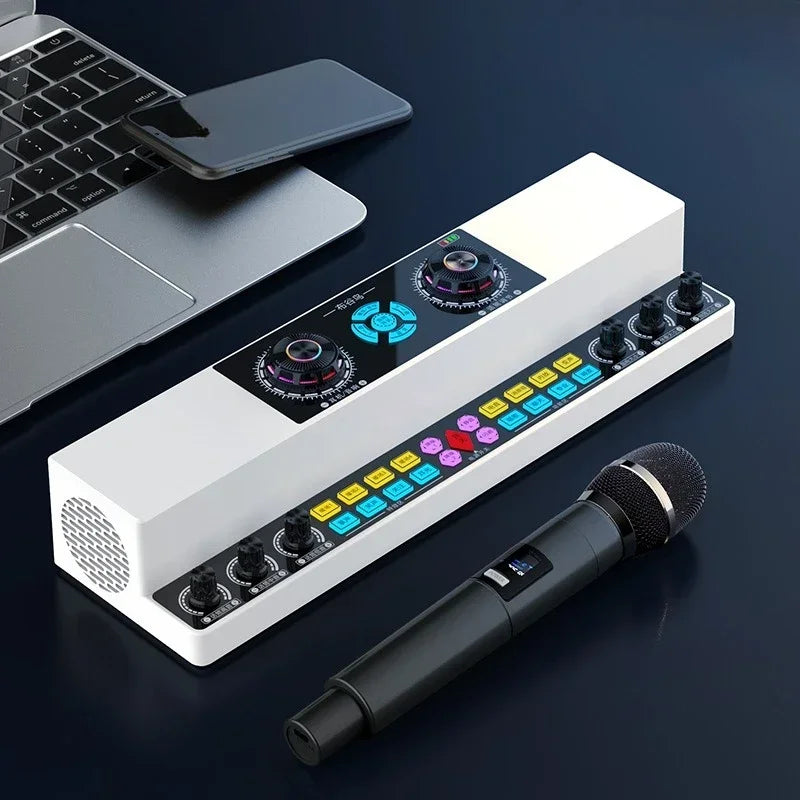 Indoor and Outdoor Karaoke Wireless Bluetooth Speaker