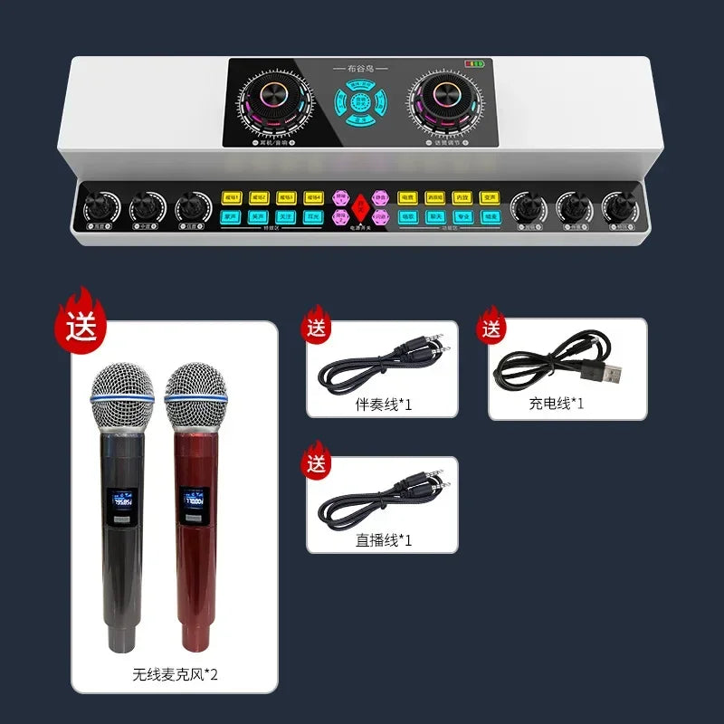 Indoor and Outdoor Karaoke Wireless Bluetooth Speaker