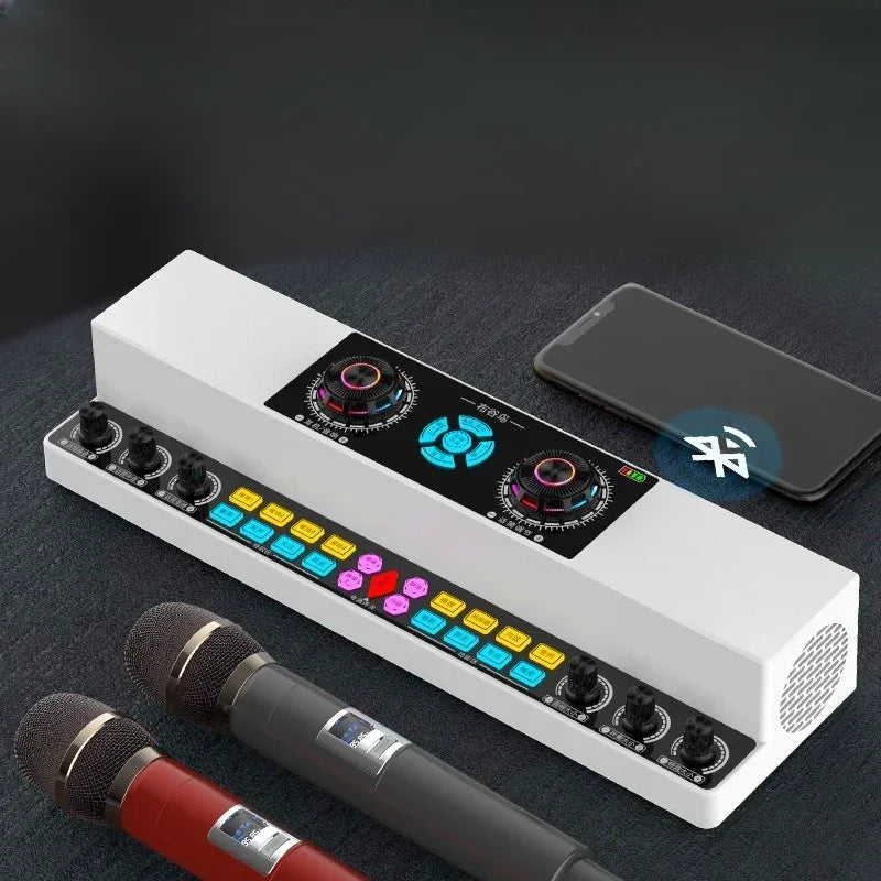 Indoor and Outdoor Karaoke Wireless Bluetooth Speaker