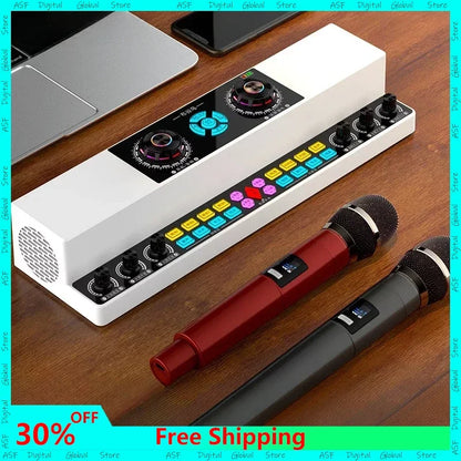 Indoor and Outdoor Karaoke Wireless Bluetooth Speaker
