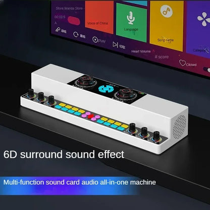 Indoor and Outdoor Karaoke Wireless Bluetooth Speaker