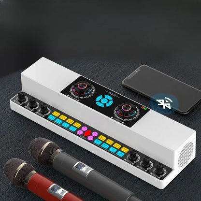 Indoor and Outdoor Karaoke Wireless Bluetooth Speaker